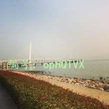ɹ