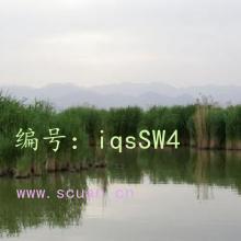 Ŀ