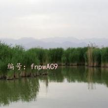΢