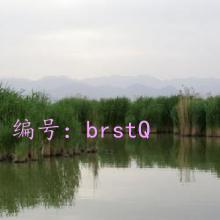 벻